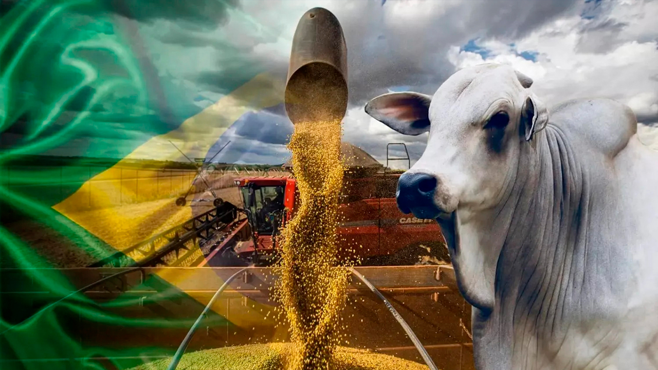 ICMS, não cumulatividade e monofasia: creditamento para o agronegócio